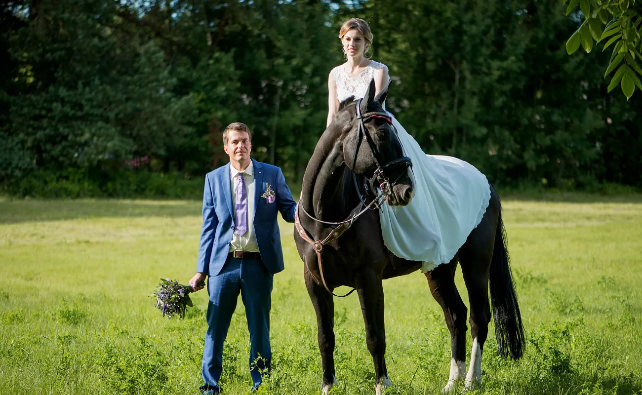 Wedding Horses