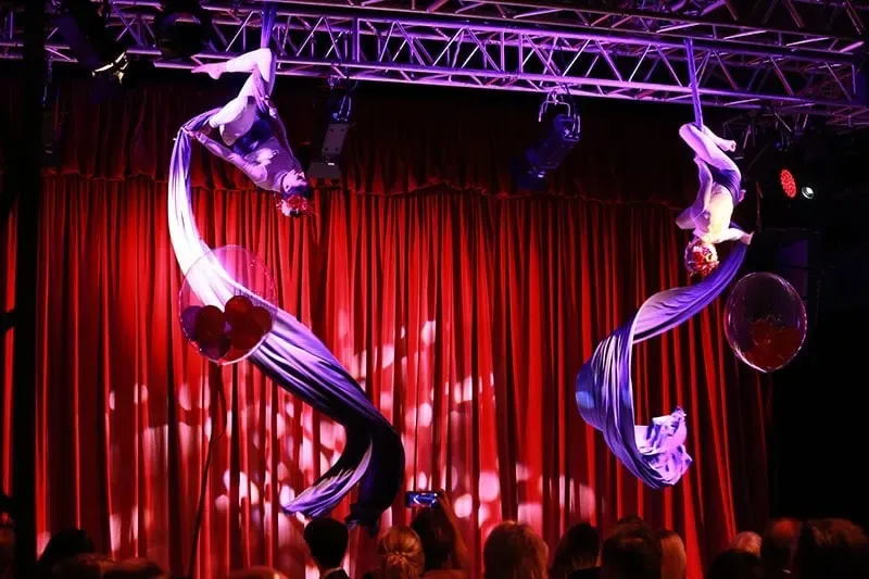 Aerial performer at a themed company party