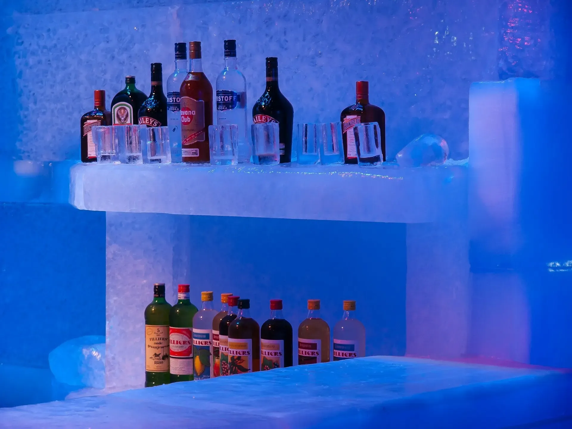 Ice Sculptures