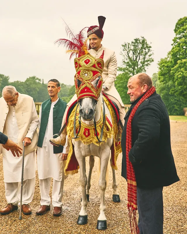 White wedding horse dressed in red and gold with a feathered headpiece
