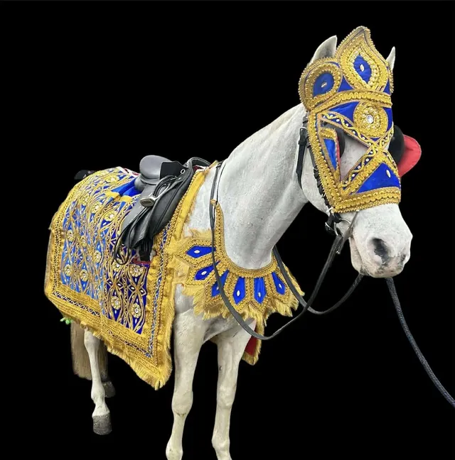 White wedding horse in a blue and gold costume