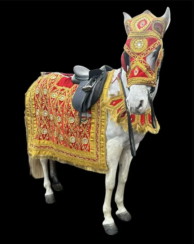 White wedding horse in a red and gold costume