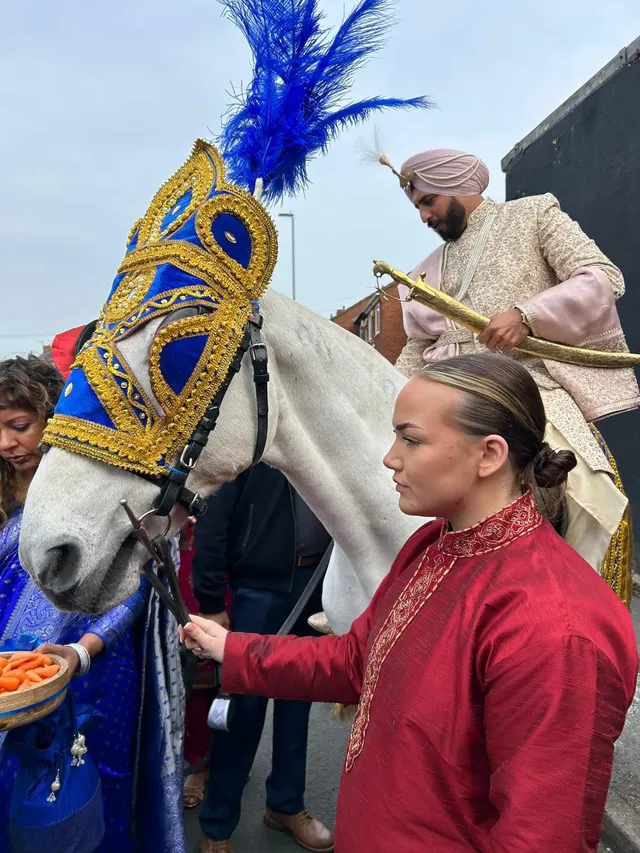 White horse in a blue and gold headdress being welcomed with aarti