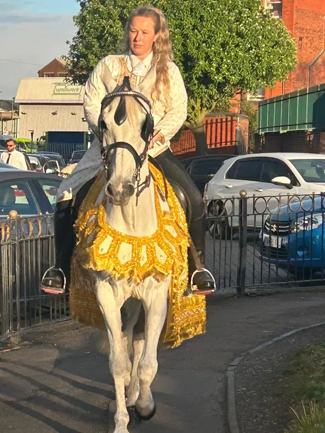 White horse in a yellow and gold saddle cloth with its rider