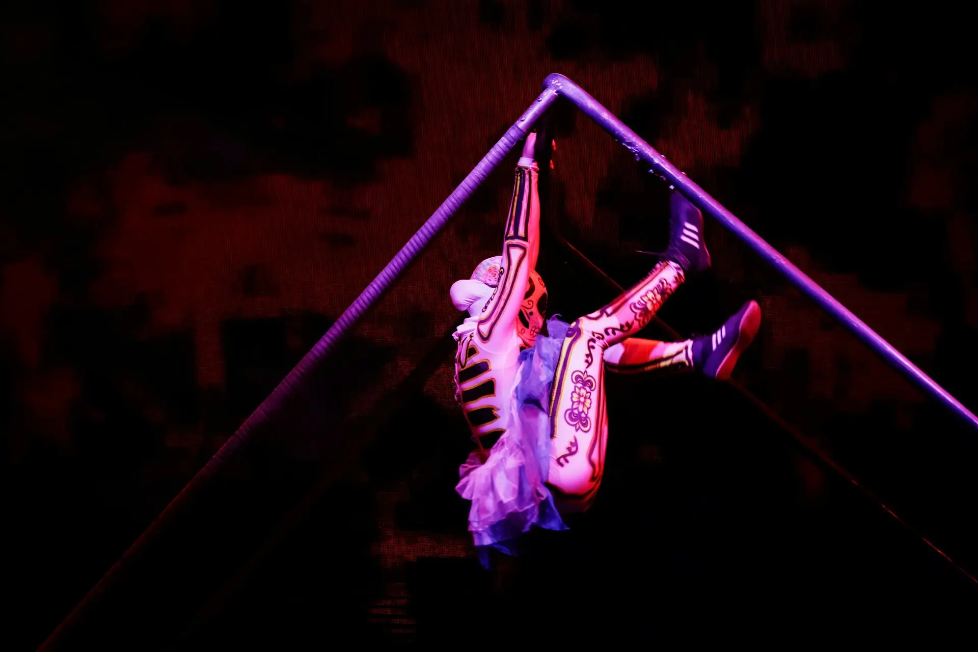 Contortionists