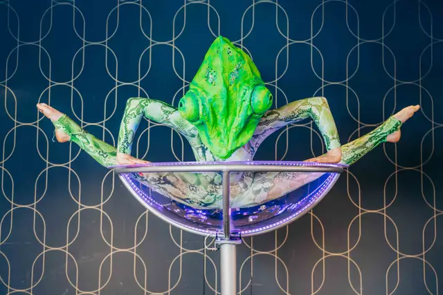 Chameleon character jungle animal martini: giant martini glass