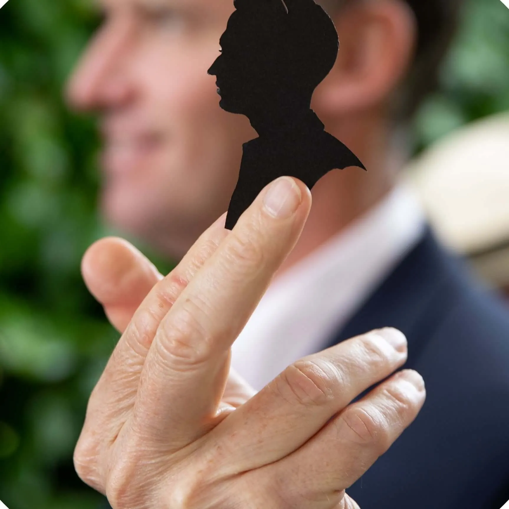 Silhouette Cutters in Devizes