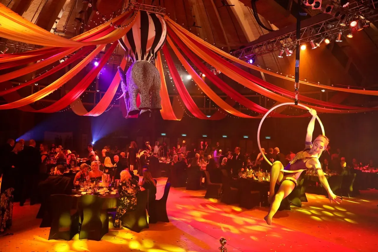 Awards & Gala Dinners entertainment