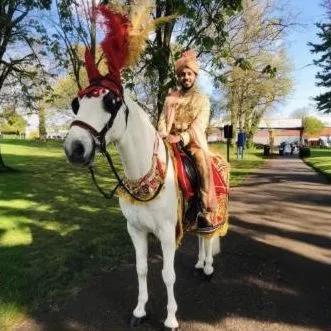 Groom arriving on a decorated wedding horse